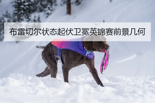 布雷切尔状态起伏卫冕英锦赛前景几何